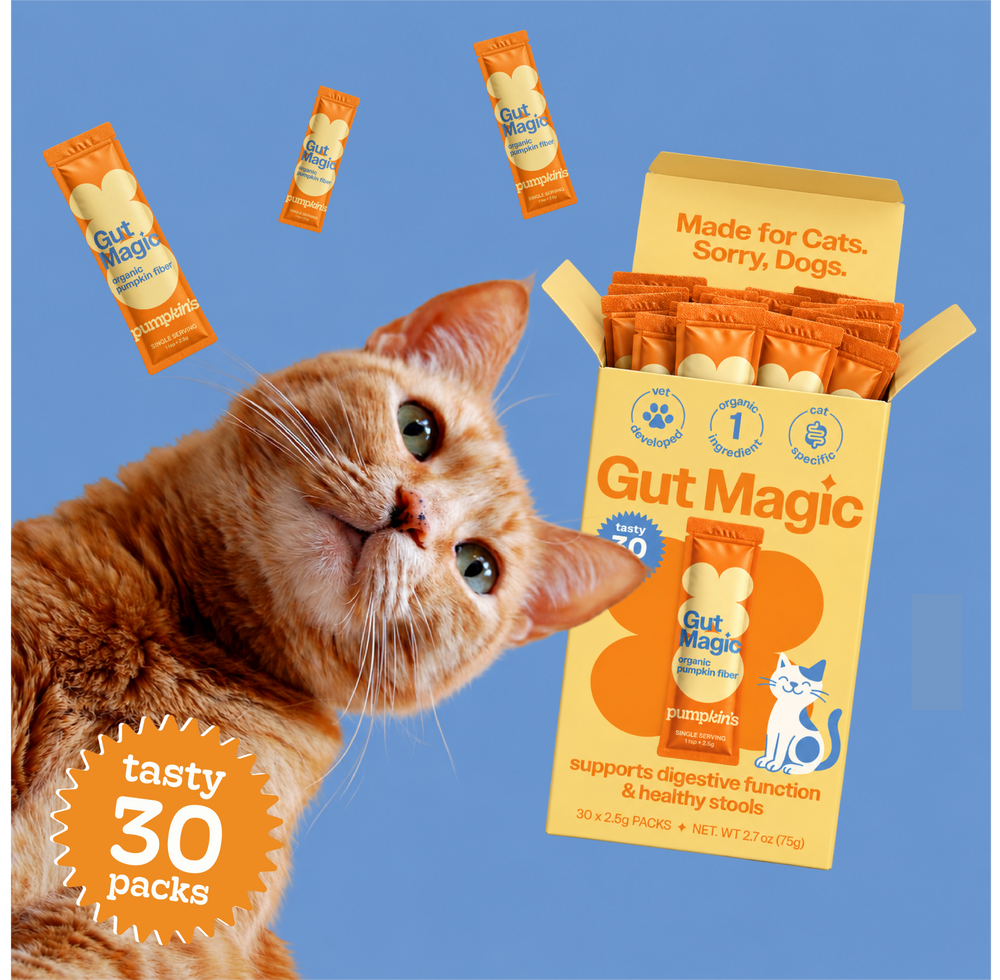 Gut Magic pouch with packets on a green background