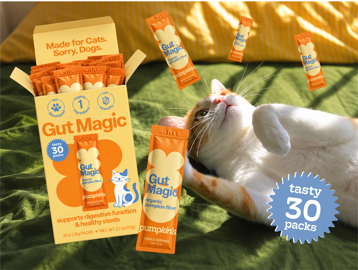 Gut Magic pouch with a torn single-serve packet of organic pumpkin powder, cat sniffing nearby