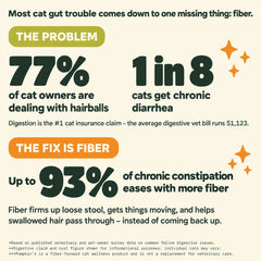 Infographic about cats and fiber