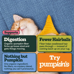 A sleeping cat on a blue couch with Gut Magic feature panels