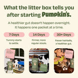 Pumpkin's Gut Magic results timeline for cats — settled tummy in 7 days, firmer more regular stools by 14 days, and fewer hairballs with a healthier gut after 30+ days